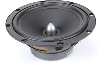 Динамики FOCAL AUDITOR EVO ASE-165 — 2 низкочастотных динамика