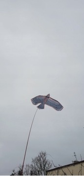 Отпугиватель птиц сокол ястреб + ШЕСТ 7 м + ЗМЕЙ