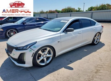 Cadillac 2021 Cadillac CT5 Luxury 2021 2.0l 2.0 Benzyna 237KM