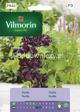 Perilla Shiso Japońskie ziele 2g