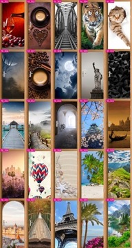 Самоклеящаяся наклейка на дверь, черное дерево.