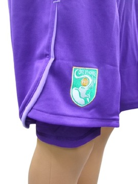 M1684 ФУТБОЛЬНЫЕ ШОРТЫ МУЖСКИЕ С PUMA L. L