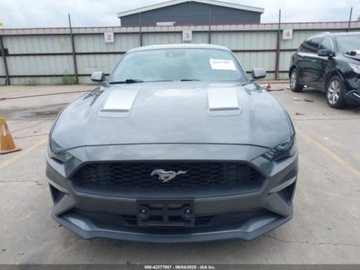 Ford Mustang VI 2021 Ford Mustang Ecoboost Fastback 2021 2.3l 2.3 Benzyna 310KM, zdjęcie 7