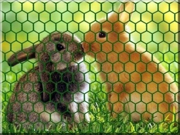 СЕТКА ШЕСТИГРАННАЯ ЗЕЛЕНАЯ 25х25мм /1,5М РУЛОН 5М