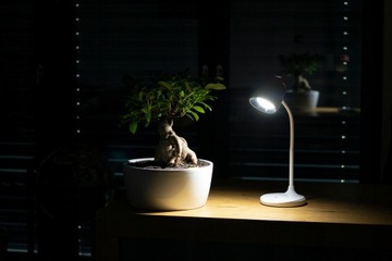LAMPKA BIURKOWA DLA DZIECKA LED USB DOTYK 3 BARWY
