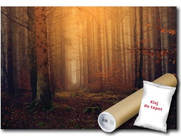 FOTOTAPETA FLIZELINA LAS DRZEWA JESIEŃ 104x70,5
