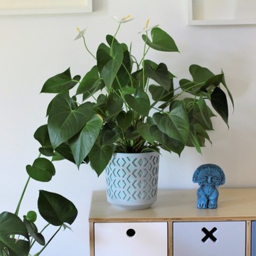 ЦВЕТОЧНЫЙ ГОРШОК ЧАША ПОДСТАВКА ДЛЯ ЦВЕТОВ САД ТЕРРАСА БАЛКОН ВСТАВКА ДЛЯ ФЛЯЖИ 29 x 32 см