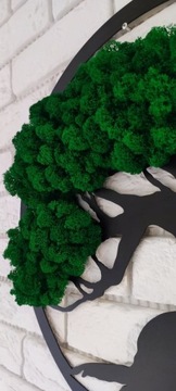 ПОДАРОЧНАЯ ЖИВАЯ КАРТИНА ДЕРЕВО БОНСАЙ 48см