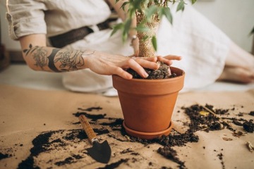 BIGOS Universal Earth Monstera Flowers 15л Биогумус Керамзит Перлит