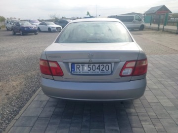 Nissan Almera II Sedan 1.5 16V 98KM 2004 Nissan Almera Opony zimowe gratis 1.5 Benzyna 98KM, zdjęcie 3