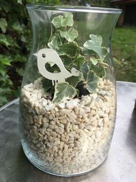 PIKA TOPER ЛЕСНАЯ БАНКА ПТИЦА 8СМ 10ШТ ПИКА ДЕКОР