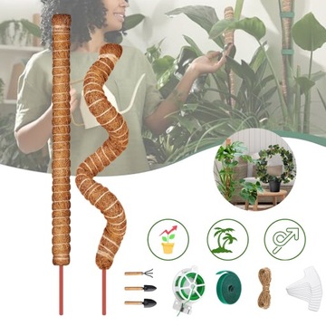 MONSTERA PRĘT DO ROŚLIN PNĄCYCH, WSPARCIE ROŚLIN PATYK Z ROŚLINY KOKOSOWEJ