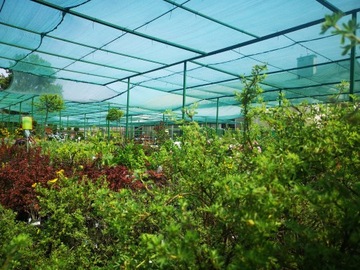 NET SHADOW MAT SHADOW SHIELD забор 3х10м 42% SHADOW MAT для теплиц и туннелей