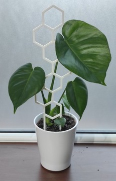 PODPÓRKA KWIATÓW ROŚLIN PERGOLA MIÓD 37cm