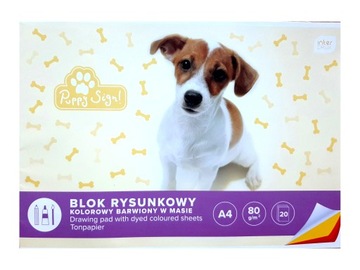 Blok rysunkowy A4, 20 kartek, kolorowy INTERDRUK