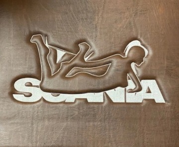 DYWAN DYWANIKI GŁADKIE SCANIA R OD 2016 + HAFT