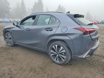 Lexus UX 2025 Lexus UX 300h Base 2025 2.0 Hybryda 181KM, zdjęcie 1