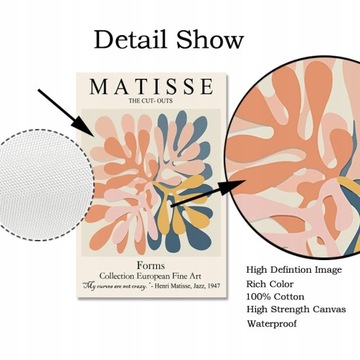 Абстрактное Настенное Искусство Матисс Плакат Line Face Co