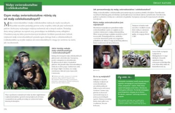 ЭНЦИКЛОПЕДИЯ ЗНАНИЙ В ВОПРОСАХ И ОТВЕТАХ ТЕОРИЯ