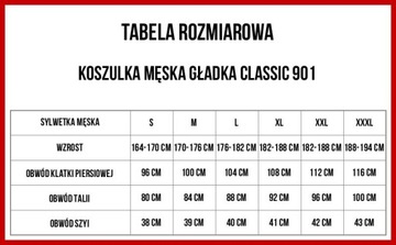 BIG STAR KOSZULKA MĘSKA SZARA CLASSIC 901 M