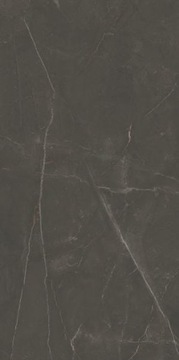 LINEARSTONE BROWN GRES SZKL. REKT. MAT. 59,8x119,8