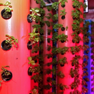 GROW BULB Videx LED E27 9Вт ЛАМПА ДЛЯ ВЫРАЩИВАНИЯ РАСТЕНИЙ ФИТОЛАМПА