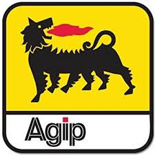 OLEJ AGIP 5W FORK OIL OLEJ DO WIDELCA ZAWIESZENIA