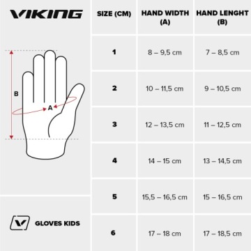 Мужские лыжные перчатки Viking Hudson GTX 6