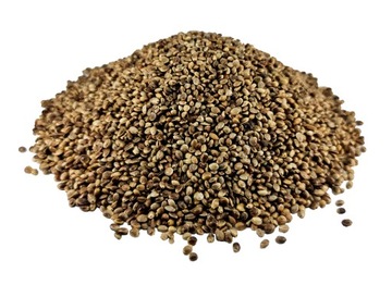 KONOPIE ZIARNO WĘDKARSKIE ZANĘTA 5KG