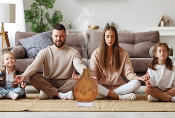 Профессиональный масляный диффузор AROMA FOLK ECO