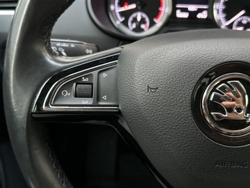 Skoda Octavia III Kombi Facelifting 2.0 TSI 190KM 2019 Skoda Octavia Scout 2.0 TSI 190KM 4x4 DSG, zdjęcie 18