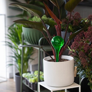 Шарики для полива растений, зеленые, 400 мл, 1 шт.