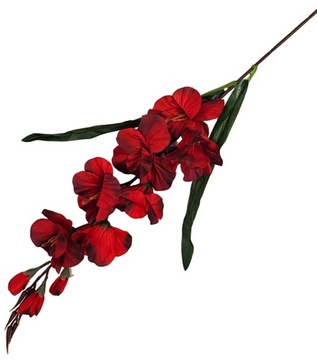 MIECZYK gałązka 10 kwiatów 6 pąków 75 cm