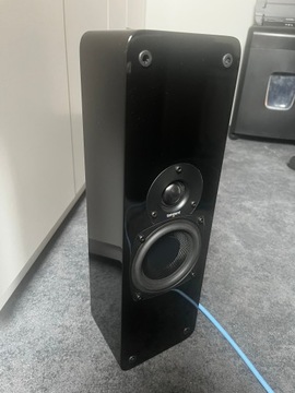 Tangent Evo E4L Черный глянцевый