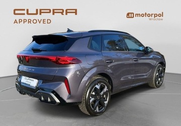 Cupra Terramar SUV 1.5 eTSI 150KM 2025 Cupra Terramar Pakiety, SENNHEISER, Sportowe fotele, ACC, Panorama, Bezwy, zdjęcie 15