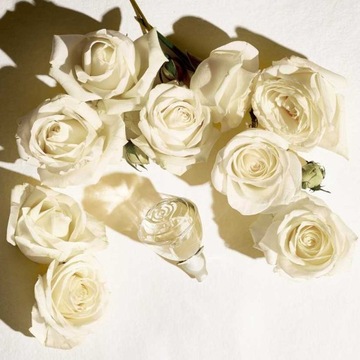 ORIFLAME Volare Forever парфюмированная вода 50 мл