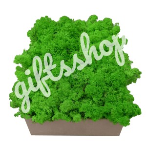 Mech Chrobotek Fiński - letnia zieleń - 100g