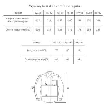 Koszula KASTOR K.41 188/194 paski classic dł