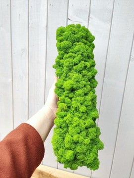 Деревянный цветочный горшок с мхом CHERRY MOSS в длинном горшке 40 см декор