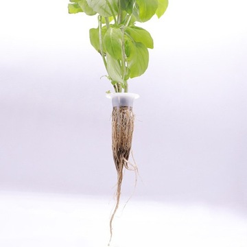 ЗАМЕНА ГУБКИ ПРИ ВЫРАЩИВАНИИ ГИДРОПОННЫХ РАСТЕНИЙ