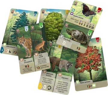 НАСТОЛЬНАЯ ИГРА Rebel Forest Deal