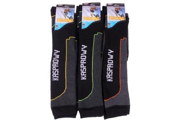 Термино -термин зимний лыжный лыжный лыж с высокой зимой