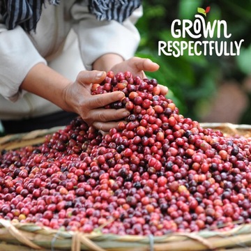 Nescafe Dolce Gusto Grande Intenso 48 штук 3х16