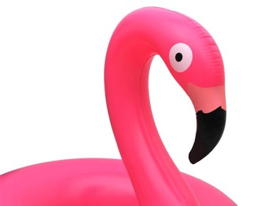 Надувное кольцо Фламинго 90см