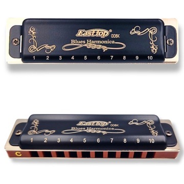 Диатоническая блюзовая гармоника 10-канальная до мажор East Top T008K черная