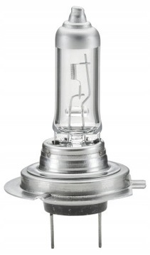 ŻARÓWKA 8GH 007 157-201 HELLA