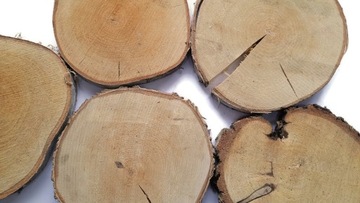 Деревянные бруски 5 шт для садовой дорожки 20-25 см.