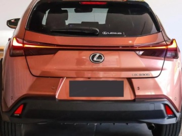 Lexus UX Crossover Facelifting 2.0 300h 199KM 2025 300h Business 2.0 199KM | System Martwergo Pola, zdjęcie 4
