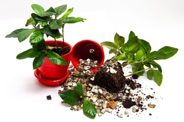 Вермикулит 3-6 мм. мешок 80 литров