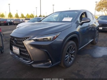 Lexus NX II 2024 Lexus NX 2024 LEXUS NX 350H PREMIUM 2.5 Hybryda 189KM, zdjęcie 2